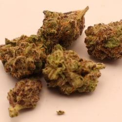 Alaskan Ice Sativa Dominant B buds THCA Flower