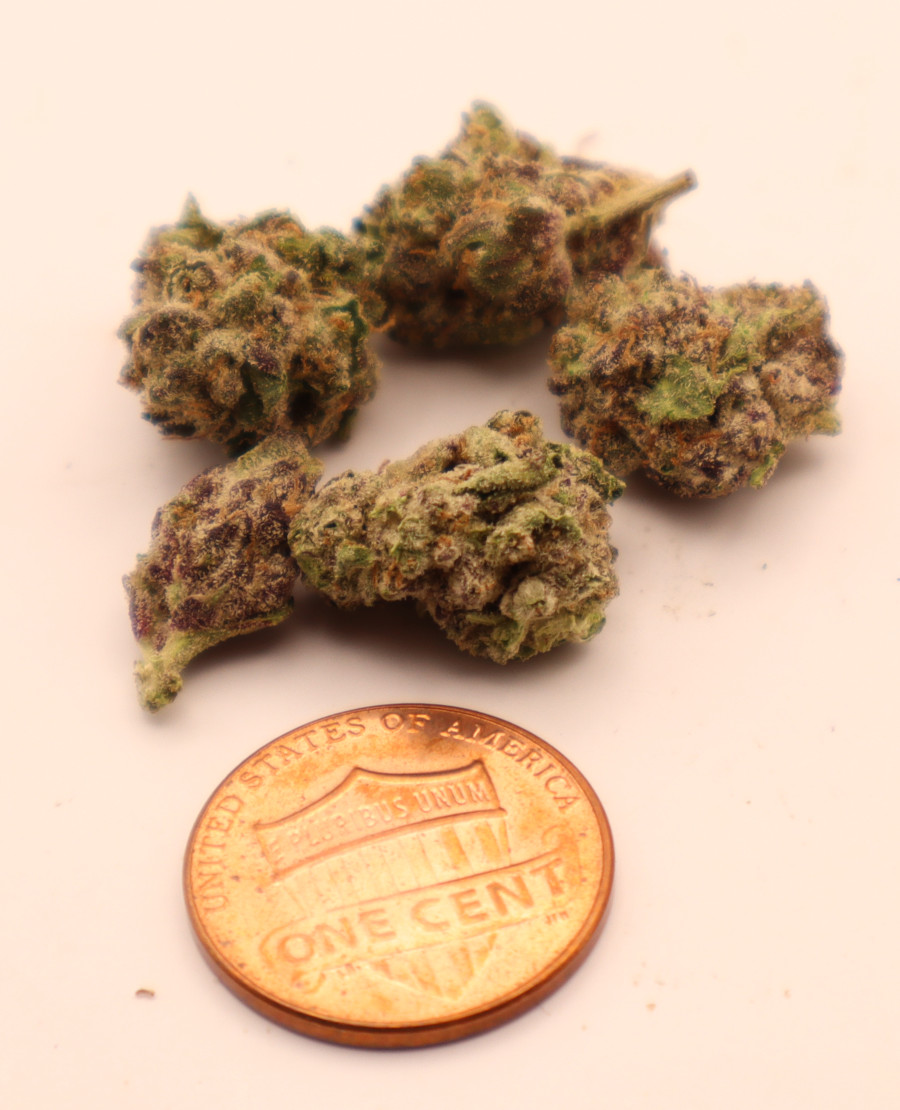 alaskan ice comparison pic