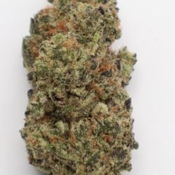 Blue Skunk Hybrid THCA Flower