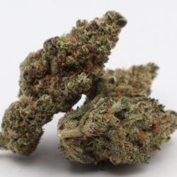 Blue Skunk Hybrid THCA Flower