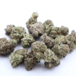 King Louie Indica Dominant THCA Flower