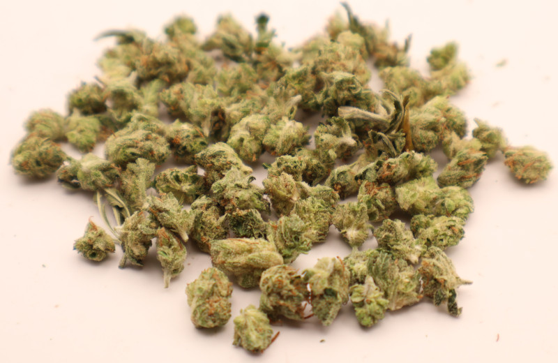 pave khalifa bunch pic