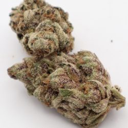 Purple Sizzurp Indica Dominant THCA Flower