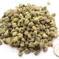 Tangerine Dreams Sativa Micro Buds THCA Flower