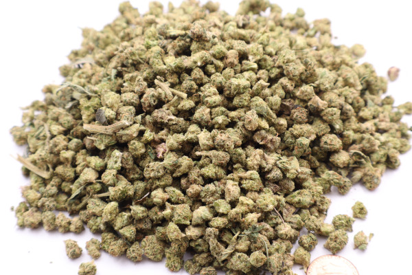 tangerine dreams micros bunch