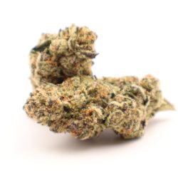 Columbia Gold Sativa Dominant THCA Flower