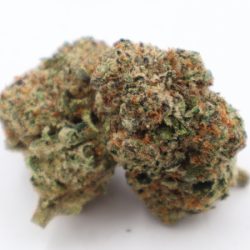 Columbia Gold Sativa Dominant THCA Flower