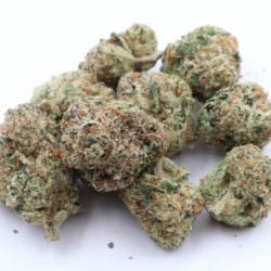 Columbia Gold Sativa Dominant THCA Flower