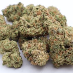 Double Runtz Indica Dominant THCA Flower