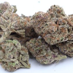 Kandy Kane Indica Dominant Hybrid THCA Flower