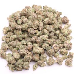 Strawberry Guava Sativa Dominant B buds THCA Flower
