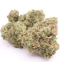 Super Jack Sativa Dominant THCA Flower