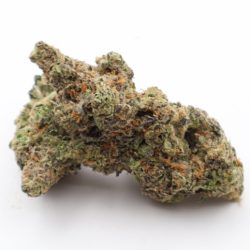 Son Of Mac Balanced Hybrid THCA Flower