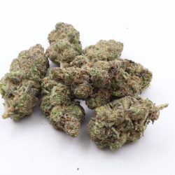 Son Of Mac Balanced Hybrid THCA Flower