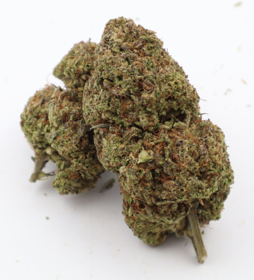 Bigg buddah Cheese 1