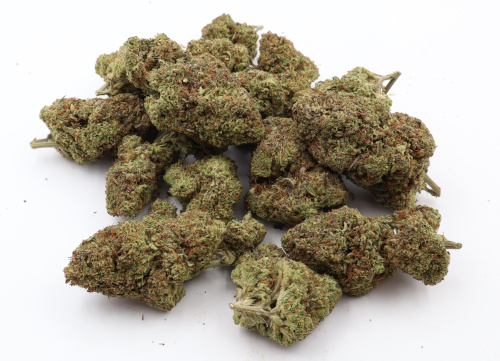 Bigg buddah Cheese 3