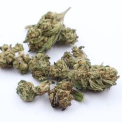 Lemon Kush Indica dominant Hybrid B buds THCA Flower