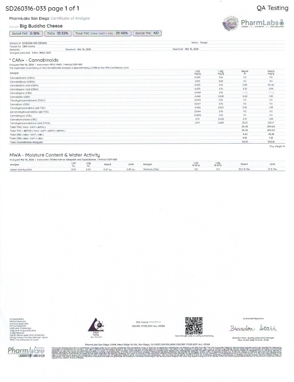 big buddah cheese coa