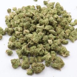 Ghost Train Sativa Dominant THCA Flower B buds