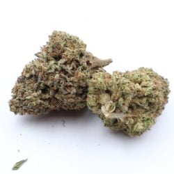 Grapefruit Diesel Sativa Dominant Hybrid THCA Flower