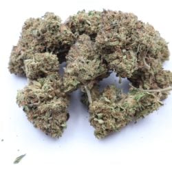 Grapefruit Diesel Sativa Dominant Hybrid THCA Flower