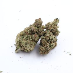 White Durban Sativa Dominant Hybrid THCA Flower