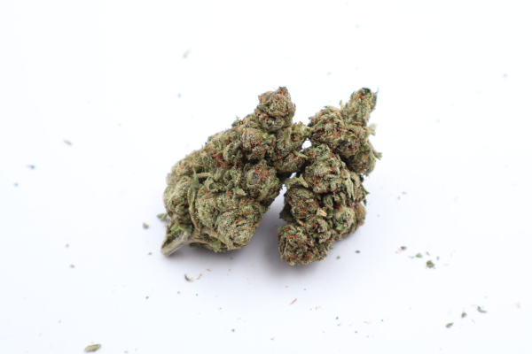 white durban 1