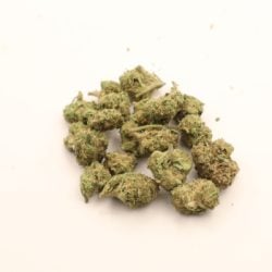 Gelonade Sativa dominant B buds THCA Flower