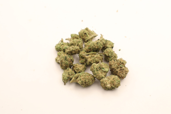 gelonade b buds 1