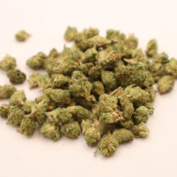 Purple Punch Indica dominant B buds THCA Flower
