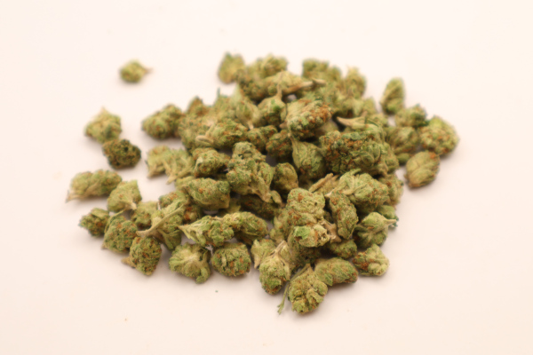 purple punch b buds 1
