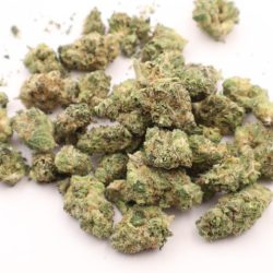 Government oasis Hybrid B buds THCA Flower