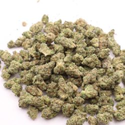 Government oasis Hybrid B buds THCA Flower
