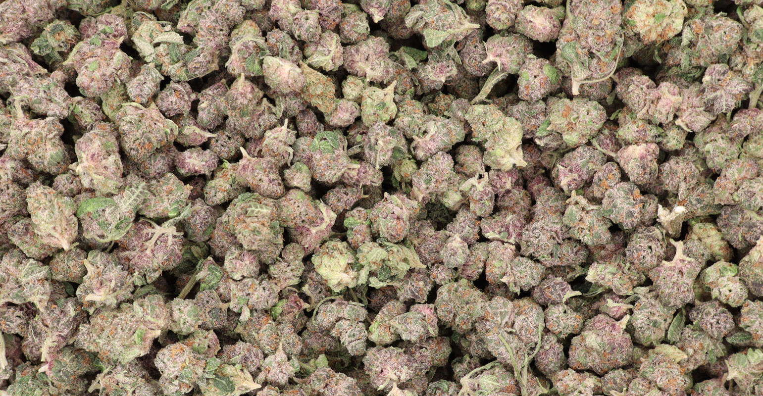 Buy Jet Fuel Gelato by the 14g or Zip!