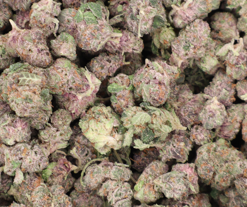 Jetfuel Gelato THCA flower