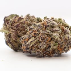 Strawberry Cough THCA Flower Sativa