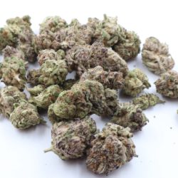 Strawberry Cough THCA Flower Sativa