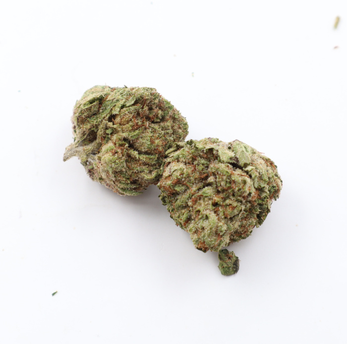 apple jacks buds