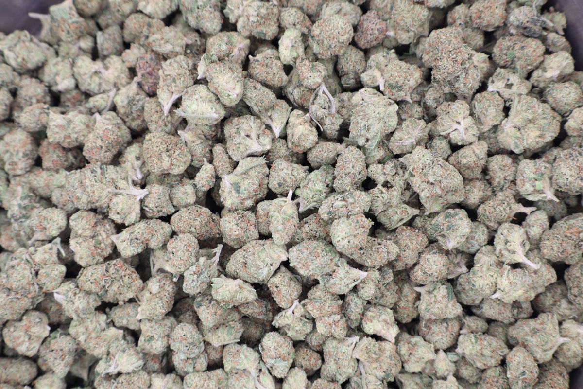 Berry Pie THCA Flower B Buds Sativa - Image 2