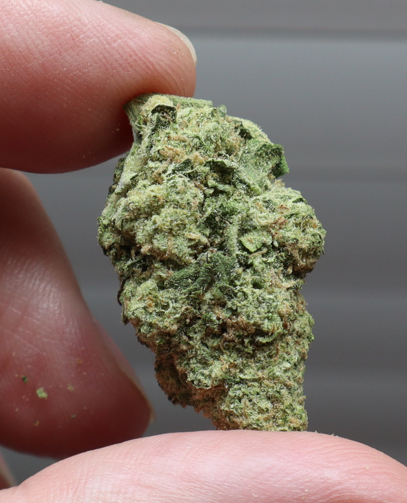 Jello Shot THCA Flower For Sale
