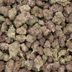 Reeses Pieces THCA Flower Indica