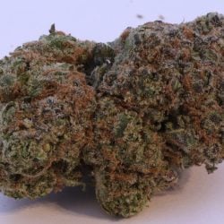 blue skittles single bud