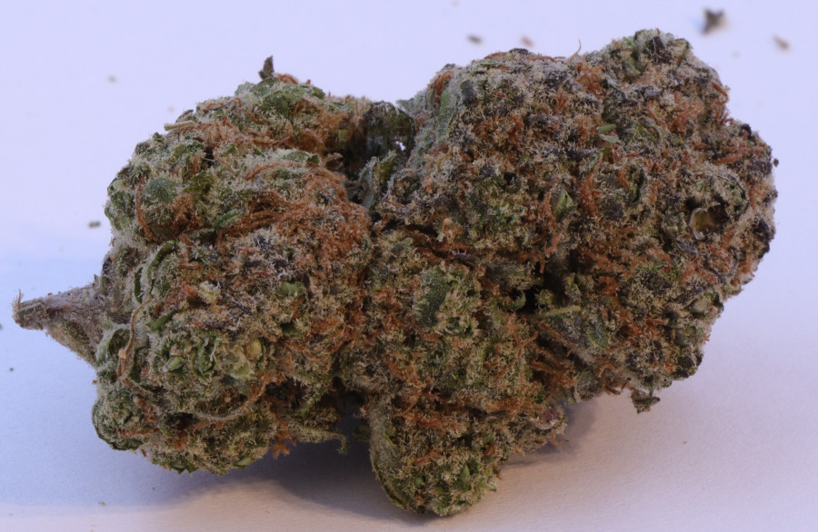 blue skittles single bud