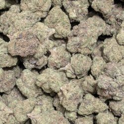Captain Crunch (Crunch Berries) Indica Dominant