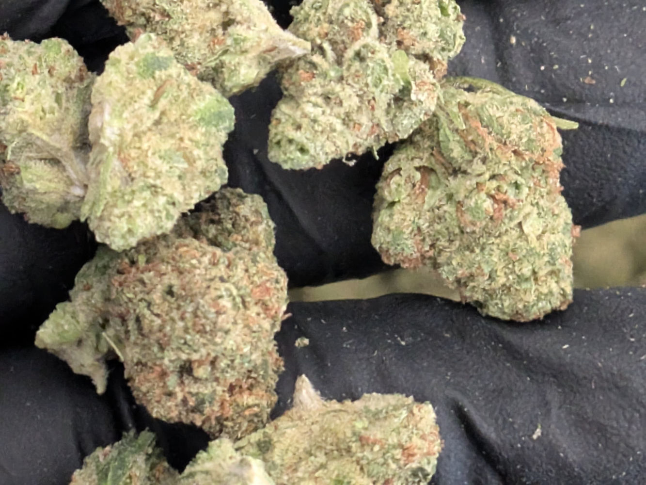 Heavy OG THCA Hemp Flower – Indica Dominant B Buds - Image 2