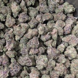 Pink Runtz Balanced Hybrid B Buds