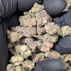 Pink Runtz Balanced Hybrid B Buds