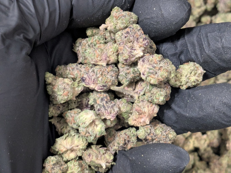 Pink Runtz Balanced Hybrid B Buds - Image 2