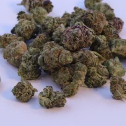 Reeses Pieces B buds THCA Flower Indica