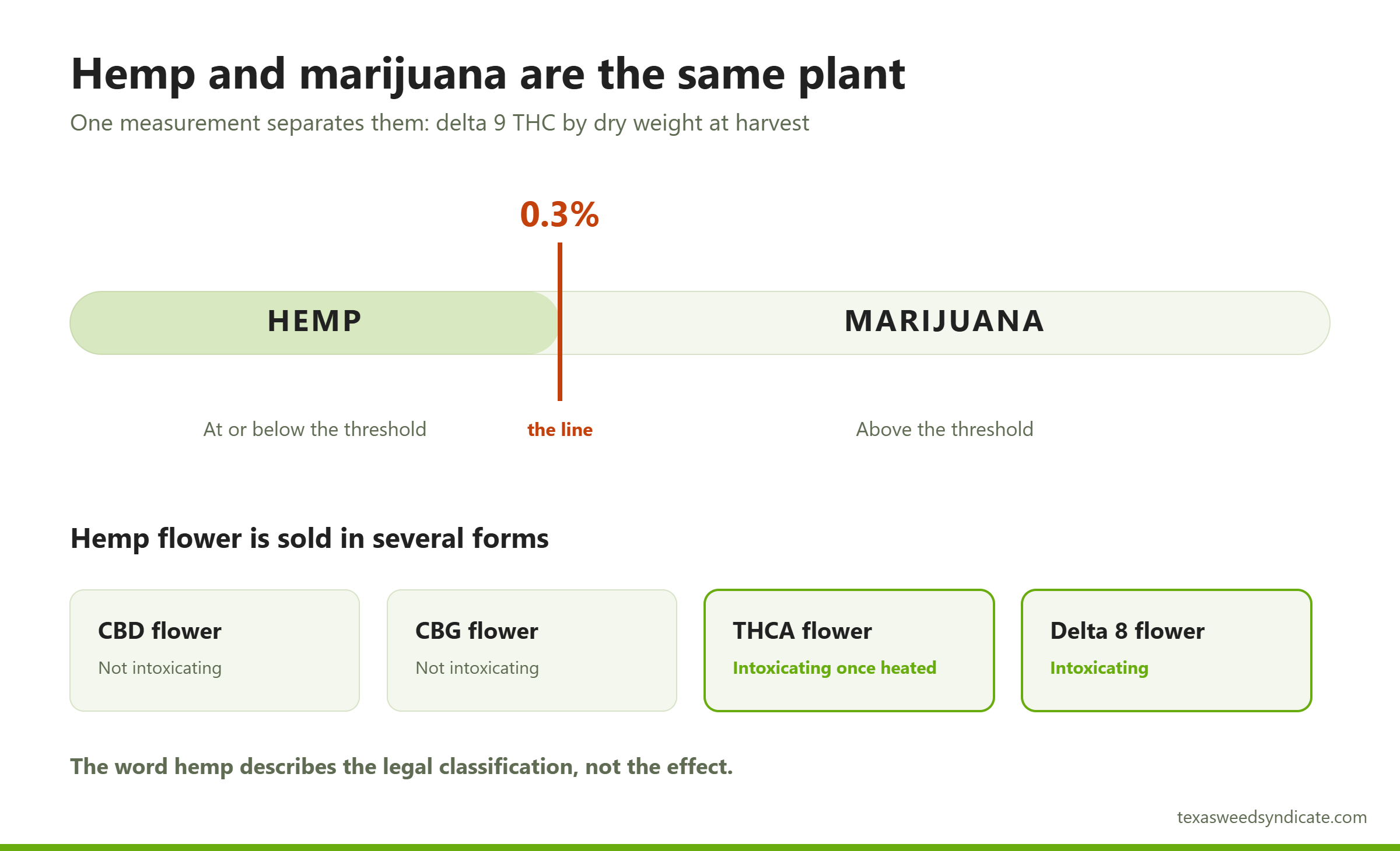 Diagram showing the 0.3 percent delta 9 THC threshold that separates hemp from marijuana, and the types of hemp flower